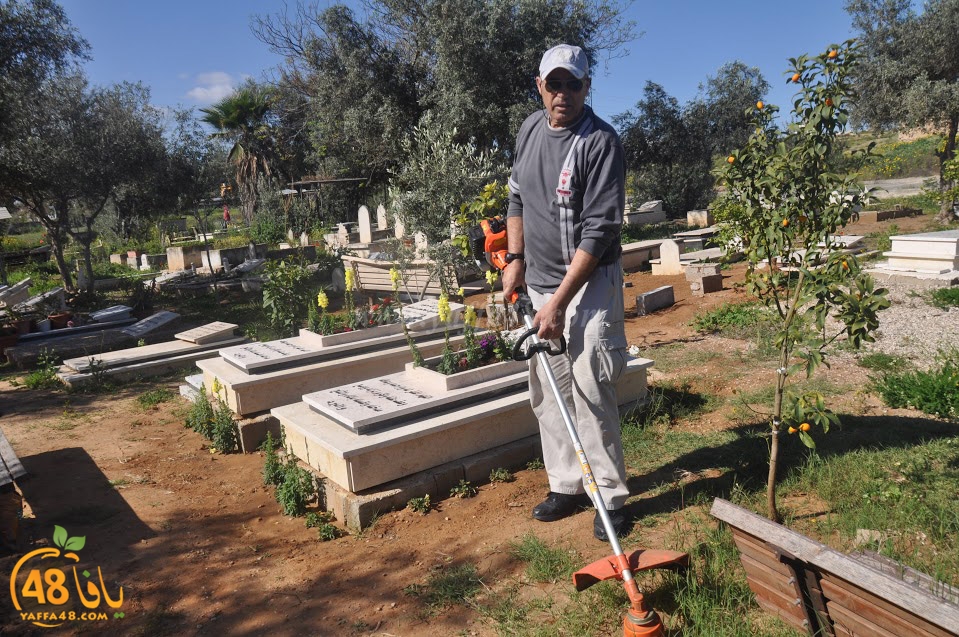 tasohamlalanjna (34).jpg